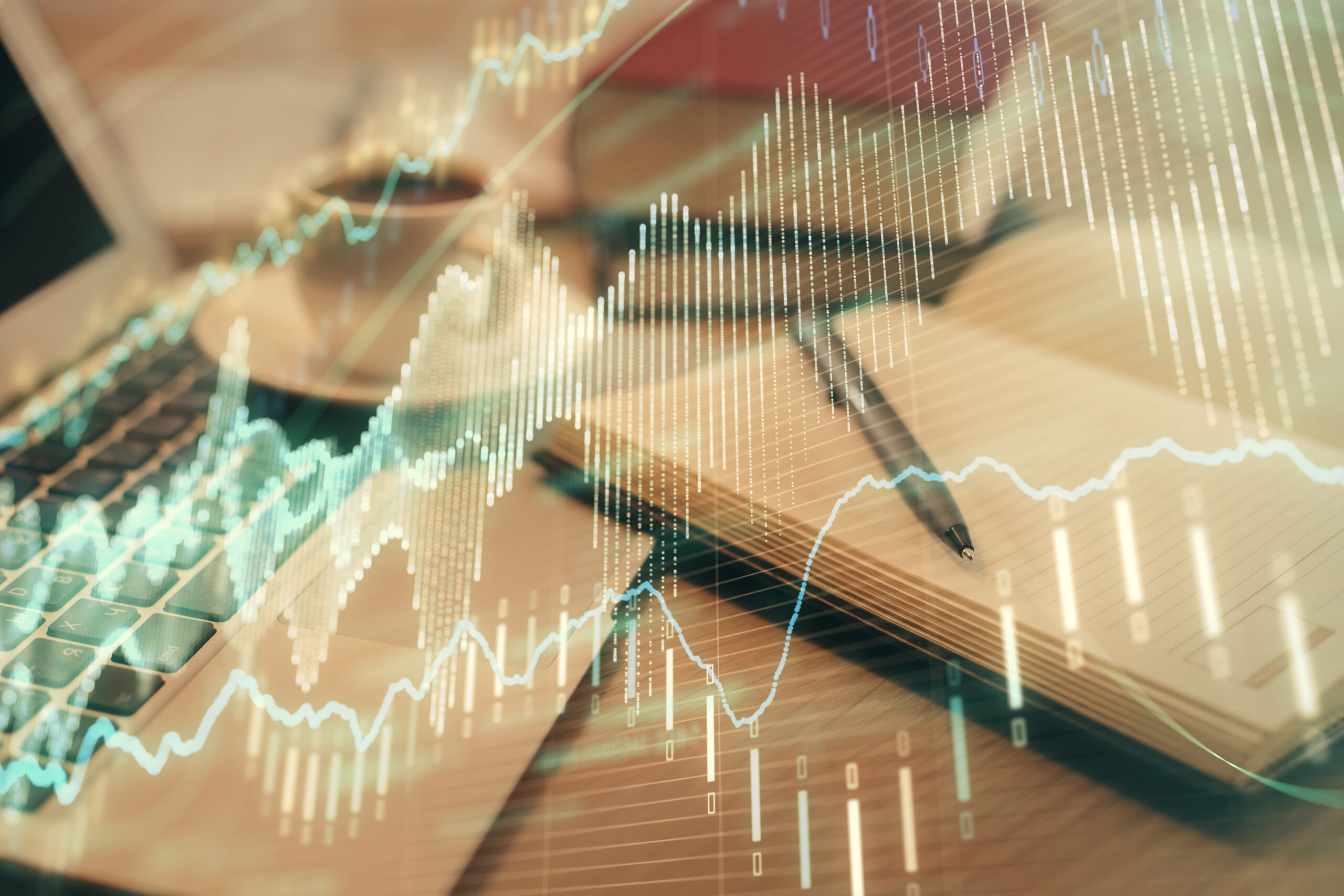 ניירות ערך בשוק ההון